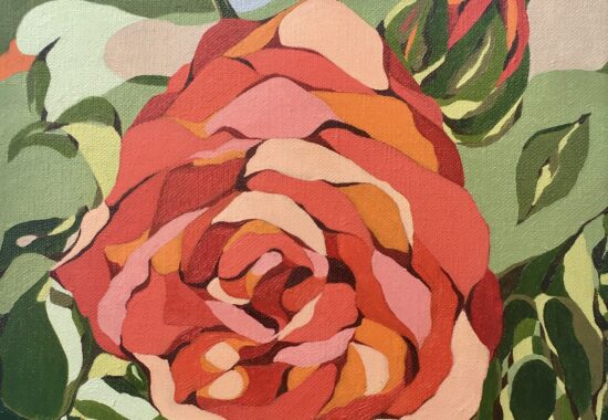 Garden_Rose