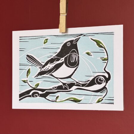 Magpie Robin