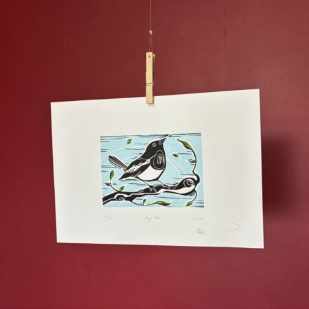 Magpie Robin