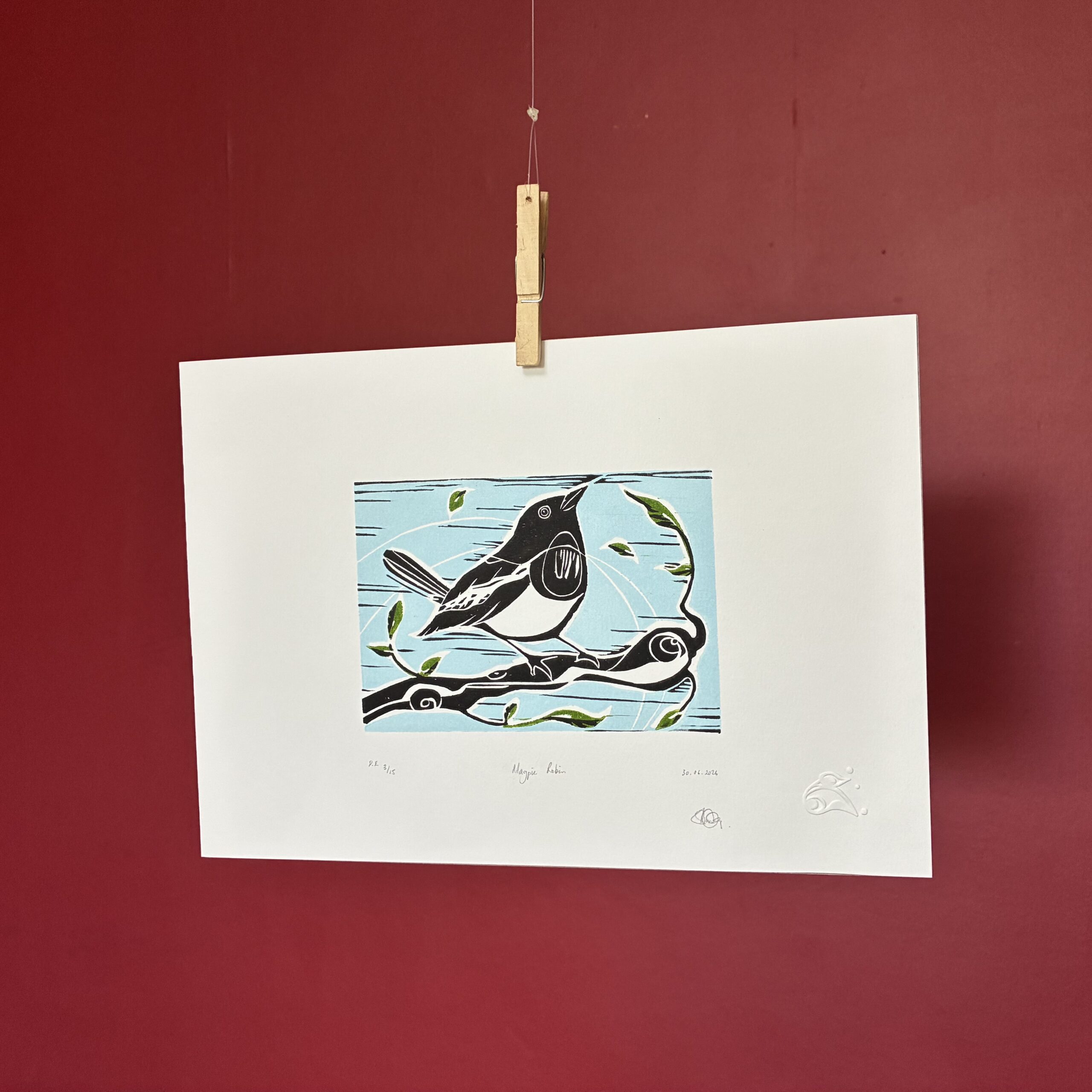 Magpie Robin