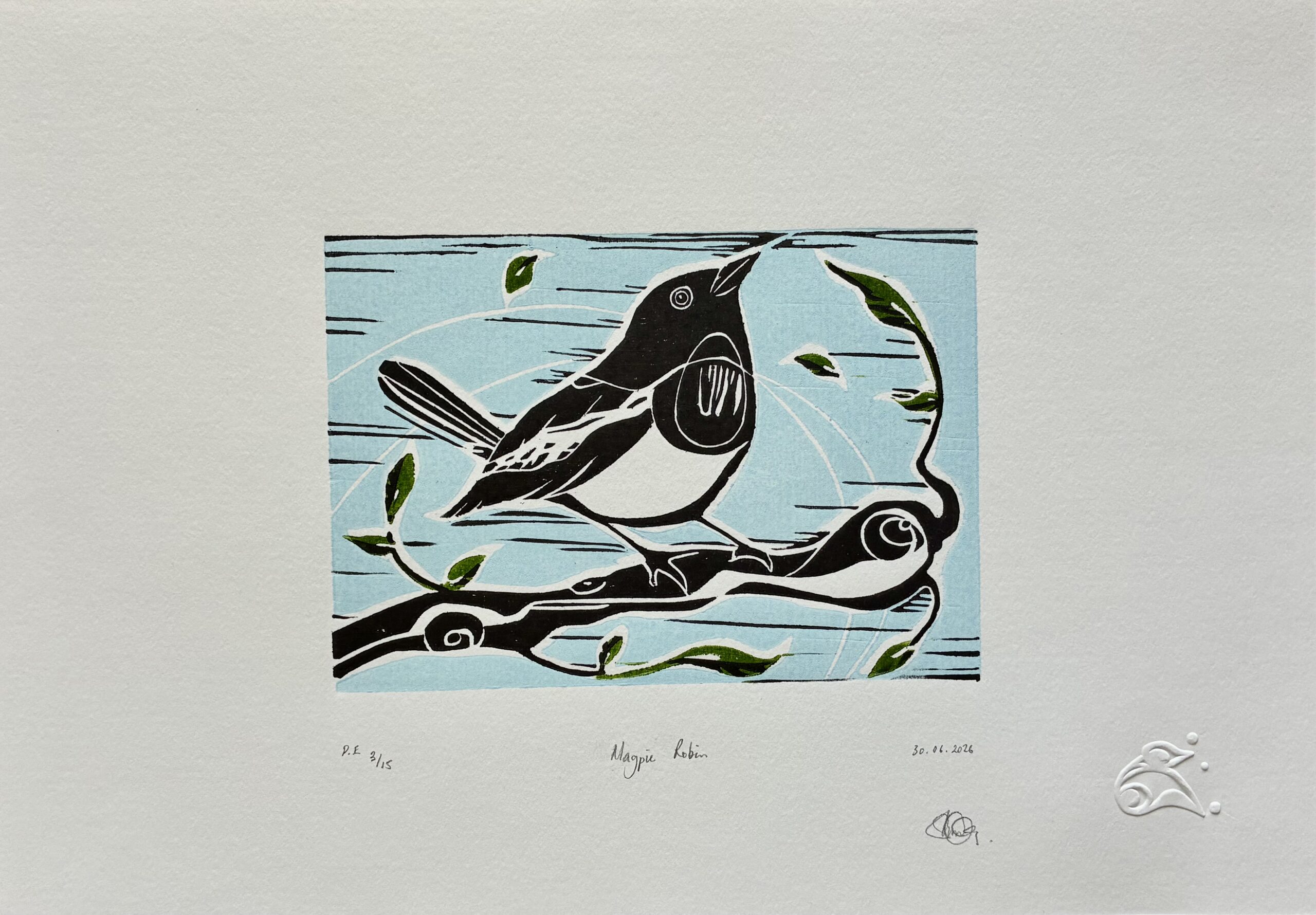 Magpie Robin - Image 2